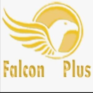 IPTV Falcon 15 months
